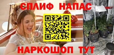 ПСИЛОЦИБИНОВЫЕ ГРИБЫ Жуковский