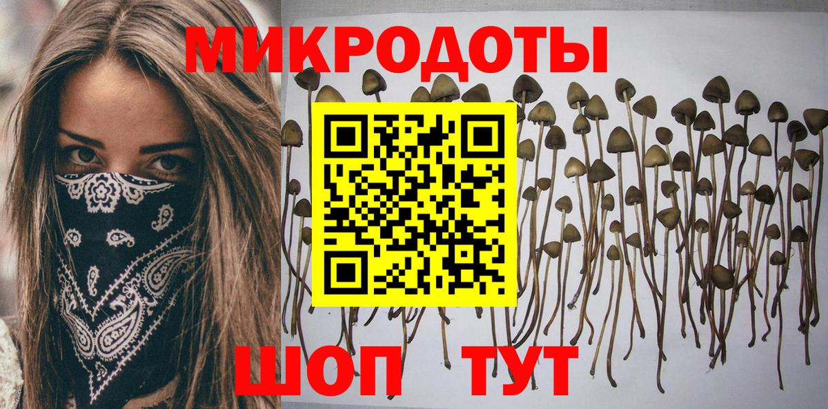 Кудрово  Псилоцибиновые грибы мицелий  Вход с VPN  Галлюциногенные грибы Cubensis 