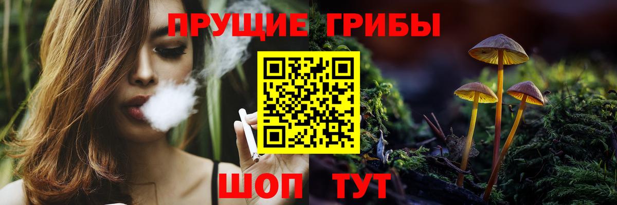 Псилоцибиновые грибы Psilocybe Кудрово